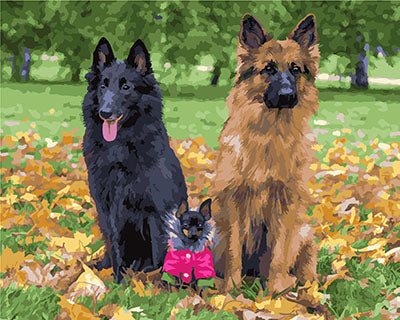 Hund & Katze Malen nach Zahlen GX25344