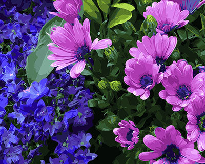 Blume Malen nach Zahlen GX25350