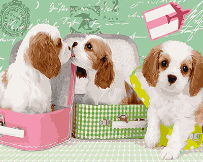 Hund & Katze Malen nach Zahlen GX25358