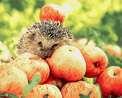 Stillleben Malen nach Zahlen GX25466