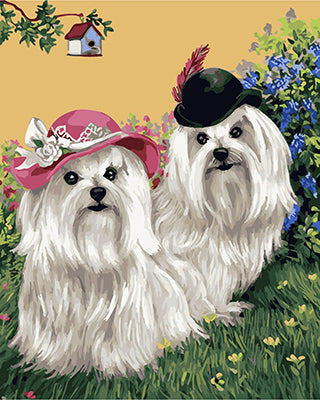 Hund & Katze Malen nach Zahlen GX25470