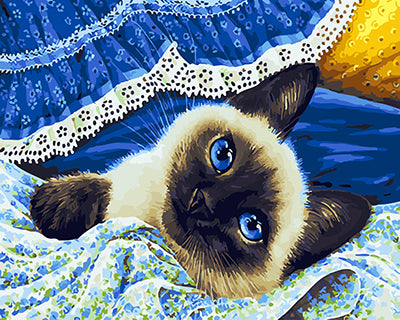 Hund & Katze Malen nach Zahlen GX25562