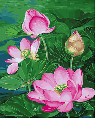 Blume Malen nach Zahlen GX25563