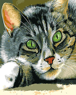 Hund & Katze Malen nach Zahlen GX25564