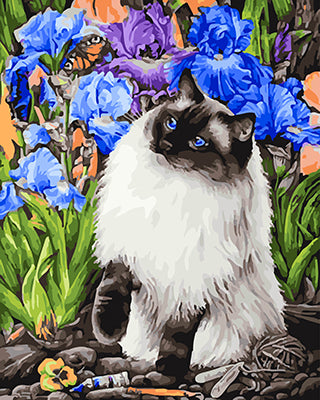 Hund & Katze Malen nach Zahlen GX25572