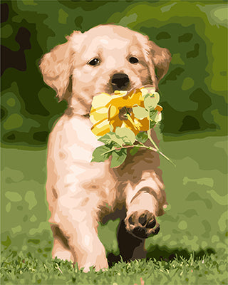 Hund & Katze Malen nach Zahlen GX25580