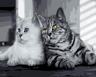 Hund & Katze Malen nach Zahlen GX25598