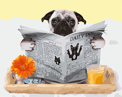 Hund & Katze Malen nach Zahlen GX25601