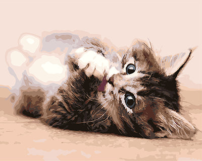 Hund & Katze Malen nach Zahlen GX25602