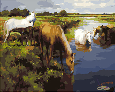 Tier Malen nach Zahlen GX25605