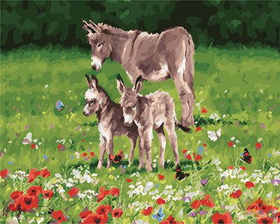 Tier Malen nach Zahlen GX25638