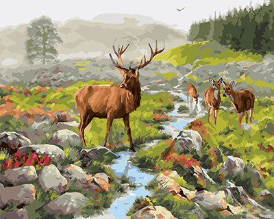 Tier Malen nach Zahlen GX25642