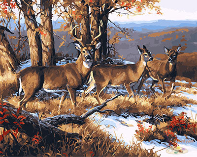 Tier Malen nach Zahlen GX25751