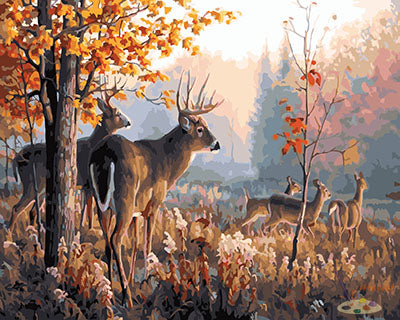 Tier Malen nach Zahlen GX25766