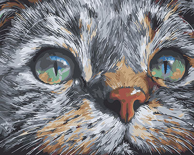 Hund & Katze Malen nach Zahlen GX25799