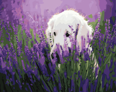 Hund & Katze Malen nach Zahlen GX25834