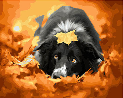 Hund & Katze Malen nach Zahlen GX25852