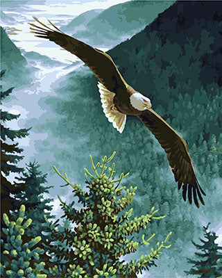 Vogel Malen nach Zahlen GX25874