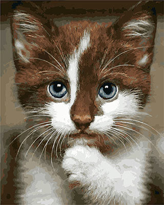 Hund & Katze Malen nach Zahlen GX25875