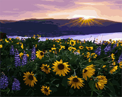 Blume Malen nach Zahlen GX25917