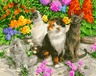 Hund & Katze Malen nach Zahlen GX25941