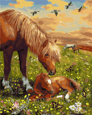 Tier Malen nach Zahlen GX26037