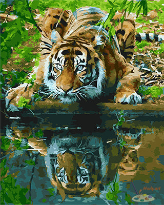 Tier Malen nach Zahlen GX26064