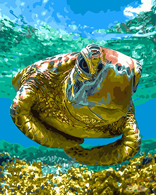 Tier Malen nach Zahlen GX26127