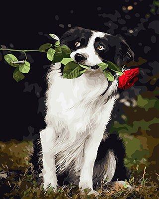 Hund & Katze Malen nach Zahlen GX26133