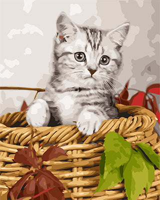 Hund & Katze Malen nach Zahlen GX26366