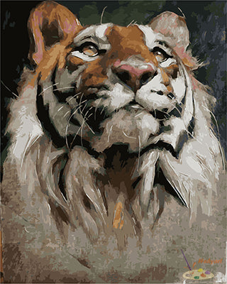 Tier Malen nach Zahlen GX26377