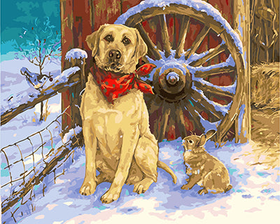 Hund & Katze Malen nach Zahlen GX26448