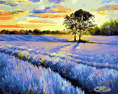 Bunt Malen nach Zahlen GX26450