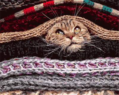 Hund & Katze Malen nach Zahlen GX26455