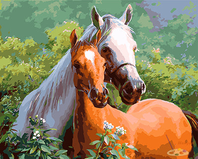 Tier Malen nach Zahlen GX26478