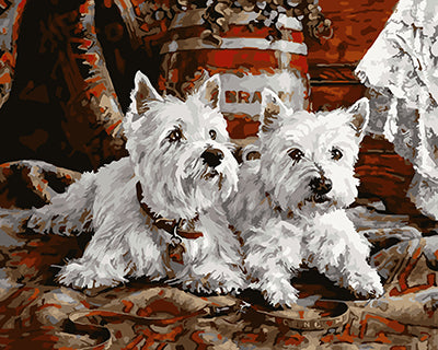 Hund & Katze Malen nach Zahlen GX26492