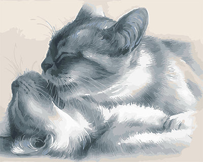 Hund & Katze Malen nach Zahlen GX26517