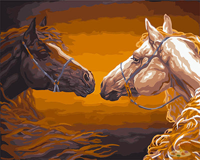 Tier Malen nach Zahlen GX26544