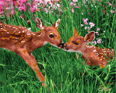 Tier Malen nach Zahlen GX26640