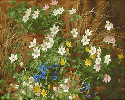 Blume Malen nach Zahlen GX26666