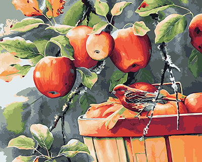 Stillleben Malen nach Zahlen GX26728