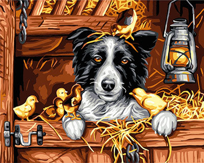 Hund & Katze Malen nach Zahlen GX26841