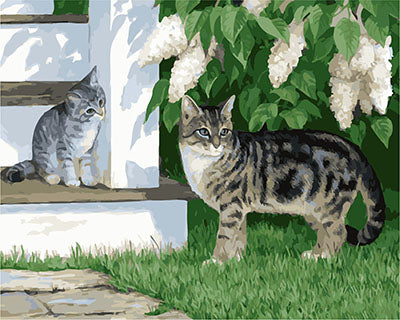 Hund & Katze Malen nach Zahlen GX26939