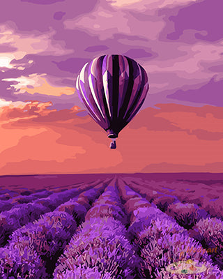 Sport Malen nach Zahlen GX26983