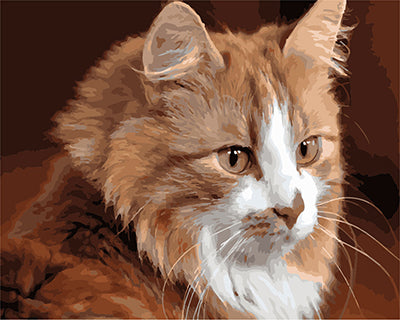 Hund & Katze Malen nach Zahlen GX27026