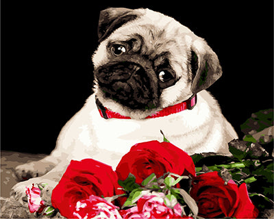 Hund & Katze Malen nach Zahlen GX27079