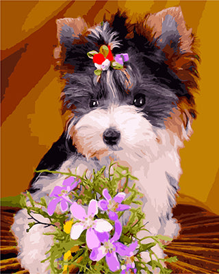 Hund & Katze Malen nach Zahlen GX27083