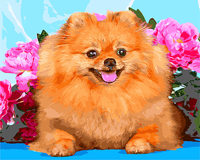 Hund & Katze Malen nach Zahlen GX27103