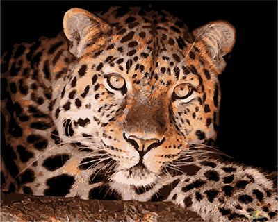 Tier Malen nach Zahlen GX27114