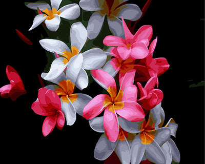 Blume Malen nach Zahlen GX27169